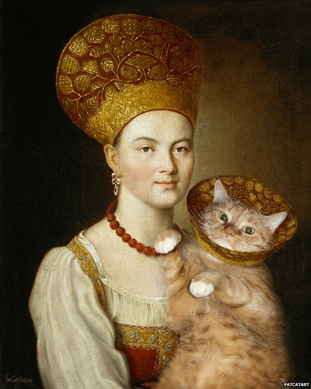 cat-profile